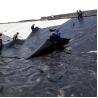 Buy cheap 0.1mm to 3mm HDPE Geomembrane for Fish Shrimp Farm Pond in Industrial Design Style from wholesalers