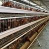 Buy cheap 3, 4, 5 Tiers A Frame Layer Cages Chicken Poultry Laying Hens House Equipment from wholesalers
