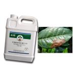 Plant Growth Fertilizer Bacillus Velezensis CY30 For Strawberry Apple Tomato