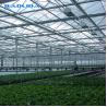Buy cheap Agriculture Multi Span Venlo Glass Greenhouse For Tomato Planting from wholesalers