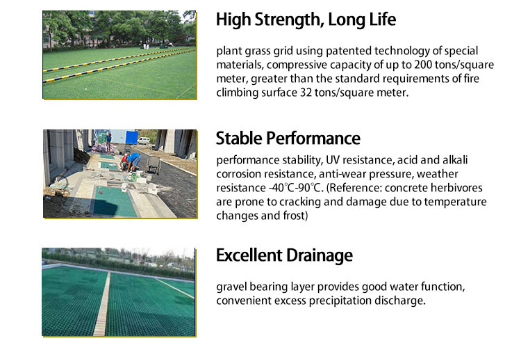 Black Green HDPE Plastic Grass Paver Grid for Parking Lot Planting Durable and Strong