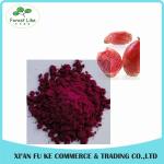 Natural Fruit Extract Nopal Cactus Fruit Dehydrated Powder for Food