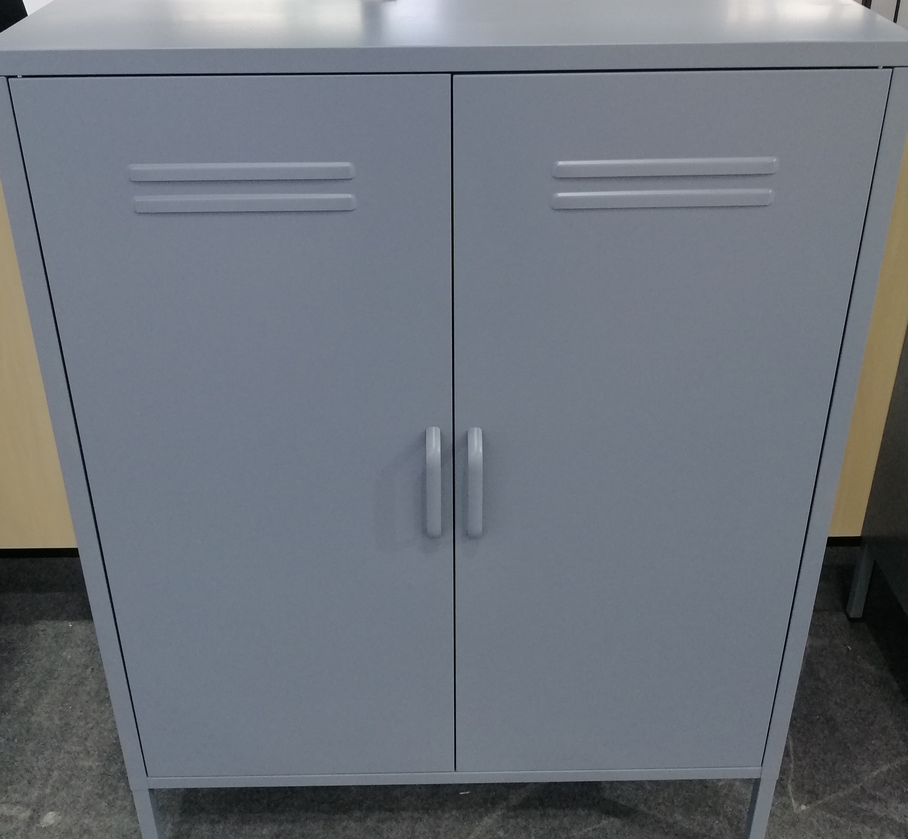 Modern Style Swing Door Slim Metal Storage Cabinet 4 Adjustable Foot