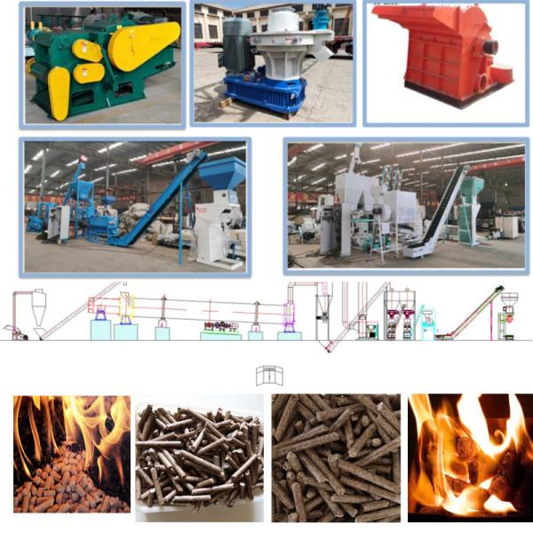 Buy cheap 10TPH Biomass Pellet Production Line Eucalyptus Pine Birch Wood Chip Pellet Machine from wholesalers