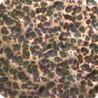 Buy cheap Copper Textured Antique Powder Coating Powder from wholesalers