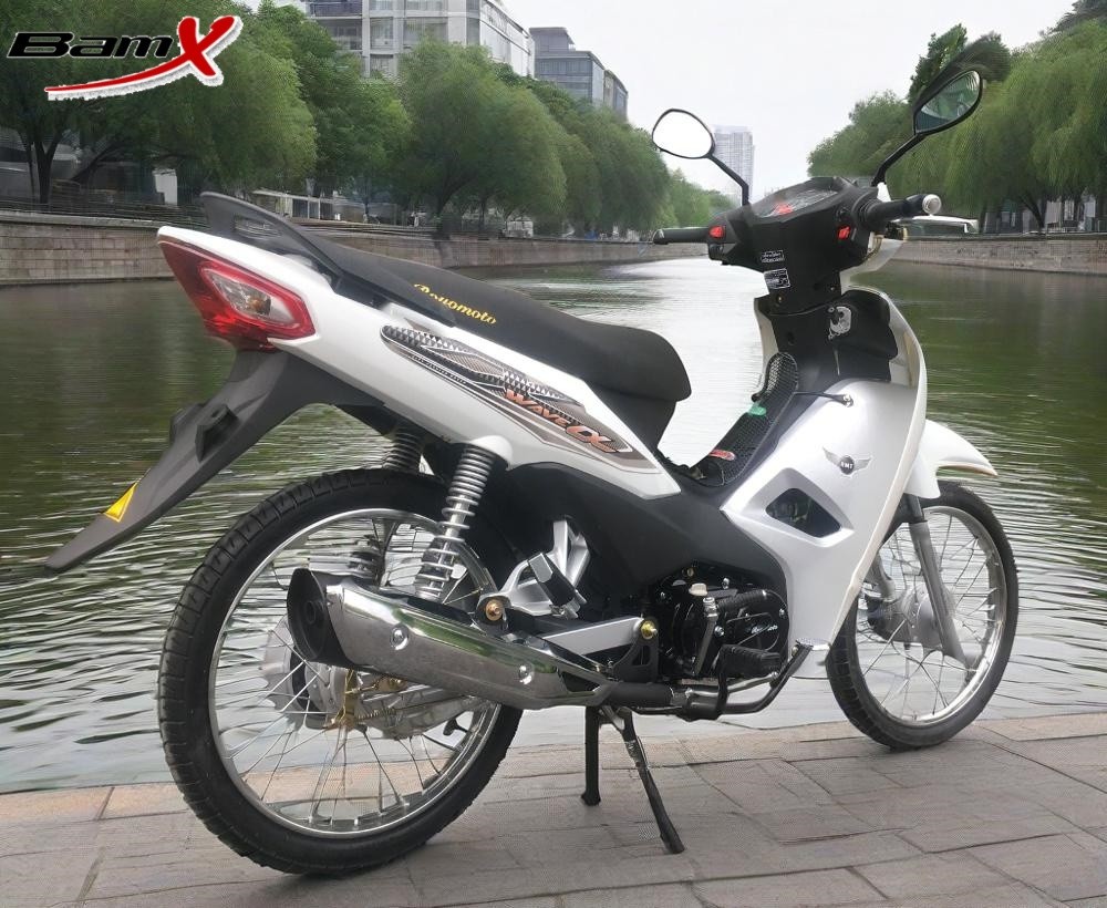 110cc CUB Motorcycle Max Power 4.7/8000kw/r/min Fuel Tank 4.4L Disc Brake Red/Black Color