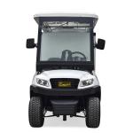 Mini Buggy Golf Car with Aluminum Cargo Box 30% Climbing Capacity 35km/h Max
