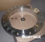 High Precision Stainless Steel Forged Steel Flange ASTM A182 ASME B16.5 300LBS