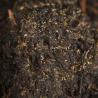 Buy cheap Slimming Organic Dark Chinese Tea Wholesale Health Pollution Free from wholesalers