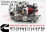3892658 NTA855 3095502 3895537 Diesel Engine Fuel Pump