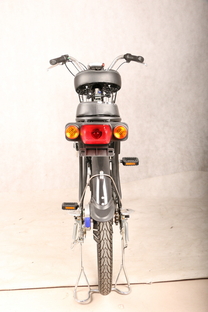 25km/H Pedal Assist Electric Bicycle 36V 250W For Adult And Child