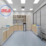 CUsomized Made Hospital Furniture Medical Disposal Cabinets Cost with Adjustable