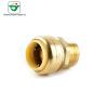 Buy cheap Forged 3/4''X3/4" Copper Pipe Male Adapter Lead Free from wholesalers