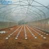 Buy cheap Single Span Polytunnel Greenhouse Kits Farming Small Or Large Size Optional from wholesalers
