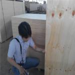 Bintangor Wood WBP Glue 1220*1220mm Laminated Ply