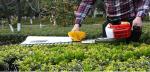 750w 25.4CC Single Blade hedge scissors shrub brush cutter Cordless Gasoline