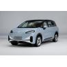 Buy cheap 2024 Adult Koala Arcfox Kala MPV Cars The Perfect Combination of Style and Function from wholesalers