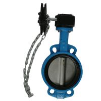 Buy cheap Metal Lever Cast Iron Body Wafer End Type Dn50 Butterfly Valve product