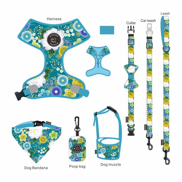 Buy cheap No Neck Injuries Leather Dog Harness Set Customizable Fit Resist Fraying from wholesalers
