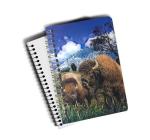 Penguin & Dolphin Image A6 3D Lenticular Cover 0.45 - 0.6mm Thickness