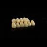 Buy cheap Personalized Strong Ceramic Zirconia Dental Crown Full Mouth Full Contour from wholesalers