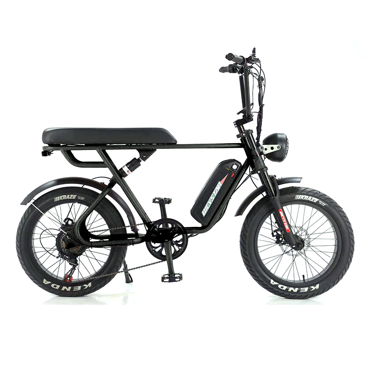 Outdoor Adventure 20*4.0 Kenda Fat Tire Double Disc Brake Mountain Bike For Teens
