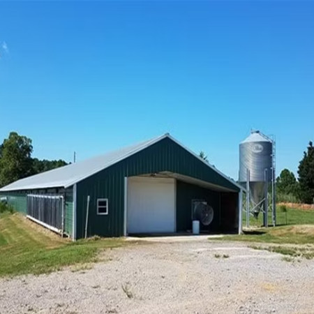 Prefab Automatic Steel Structure Chicken House / Chicken Coop Steel Frame House