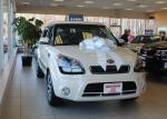 Weding car Gift pull Bow ribbon for wedding car , large gift loop bows for