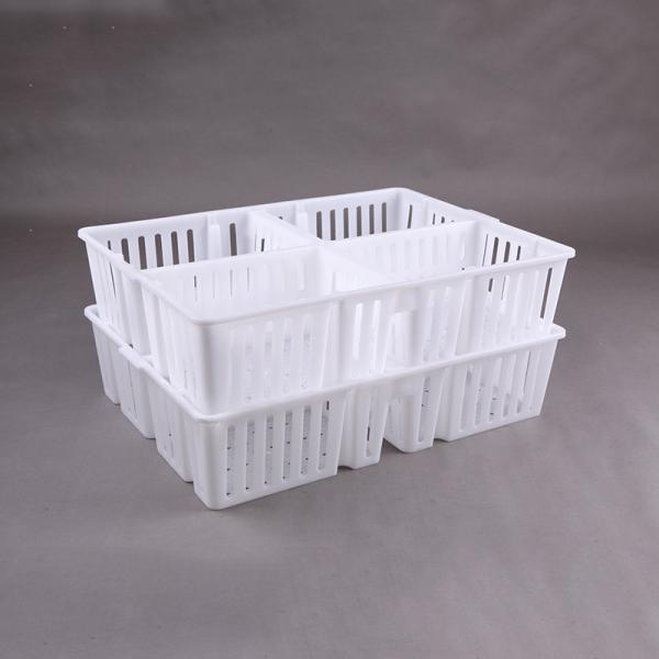 Buy cheap Poultry One Day Old Chick Transport Boxes 1900g Livestock Equipment Accessories from wholesalers
