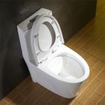 Mainstream Elongated Cupc Toilet Perfectly Terrific Lines American Standard