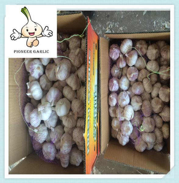 Buy cheap 2016 crop the fresh garlic wholesale fresh white garlic from wholesalers