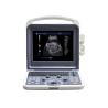 Buy cheap 12 Inch LED Portable Ultrasound Scanner Color Doppler 4D Ultrasound Machine from wholesalers