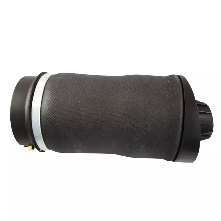 W251 Air Spring Rear