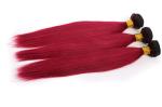 12-24 Inches Burg with Dark Roots 8A Grade Unprocessed Virgin Hair Extension
