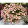 Buy cheap Marguerite Flower Daisy Bouquet Silk Artificial Daisy Flowers Valentines Flowers Wedding Decor Chamomile from wholesalers