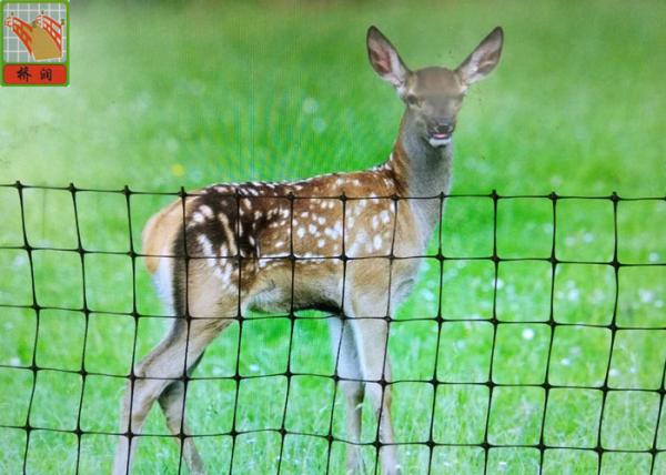 Buy cheap Deer Fence , Deer Fence Netting , For Garden , Hole Size 20mm, 100 Meters Length, PP Netting from wholesalers
