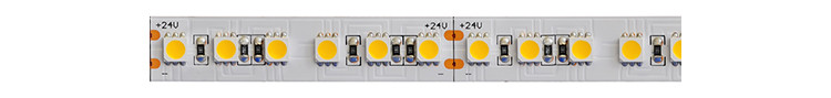 Dimmable Outdoor LED Strip Lighting 5050 Waterproof Flexible Tape 24V Exterior Cuttable