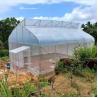Buy cheap Single-span Film Tunnel Top Vent Greenhouse Sri Lanka Greenhouse Prefabricated from wholesalers