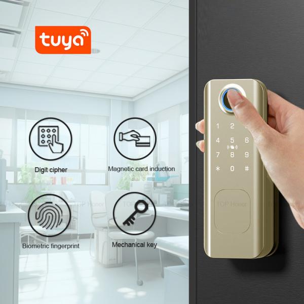 Buy cheap Fingerprint Password Deadbolt Smart Door Lock TTLock Card NFC Ekey For Apartment from wholesalers