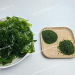 Buy cheap Japan Aonori Flakes Green Seaweed Laver Powder 6g For Japanese And Korean from wholesalers