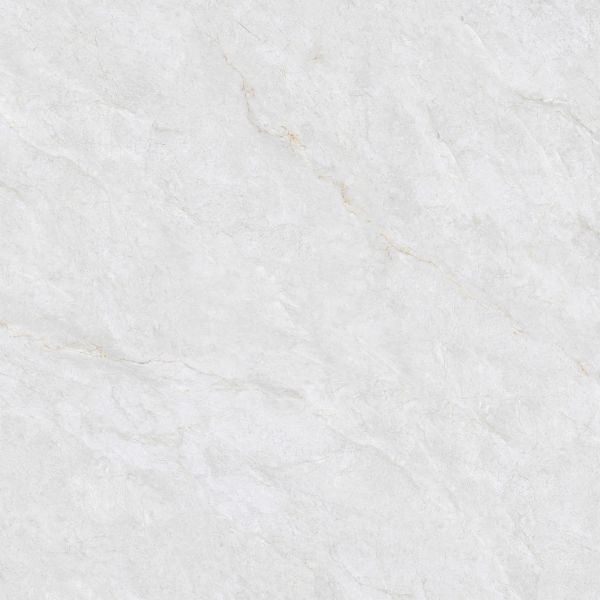 Non-Slip Grey Polished Porcelain Tile 800x800mm