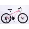Buy cheap Design Road Bicycle Dual Disc Brakes Bike Racing Mountain Bike with Ordinary Pedal from wholesalers
