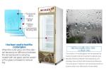 Upright Glass Door Freezer Supermarket 400L Single Door Ice Cream Display