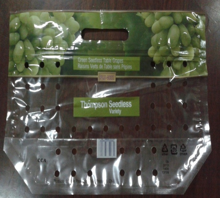 Customized Printing OPP Zipper Gusset Poly Bags with 1kg 2kg 3kg 5kg Vegetables and Fruits Packing