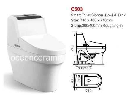 One Piece 710 X 400 X 710mm Smart Toilet Wall Hung Standing Intelligent Toilet