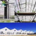 Glass Cover Blackout Multi Span Greenhouse Gutter Connect Strawberry Plant