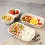 OEM Bagasse Salad Bowl Environmentally Friendly Disposable Food Containers