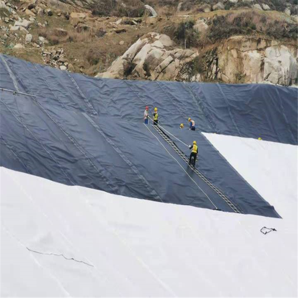 100g/sqm to 800g/sqm Geotextile Fabric for Roads and Railways Polyester Non-Woven Fabric