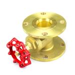 Water Control Metal Gate Valve DN15 DN20 DN25 Power