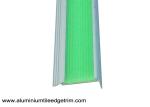 Aluminium Photoluminescent Stair Nosing With 50 mm Width And 20 mm Height